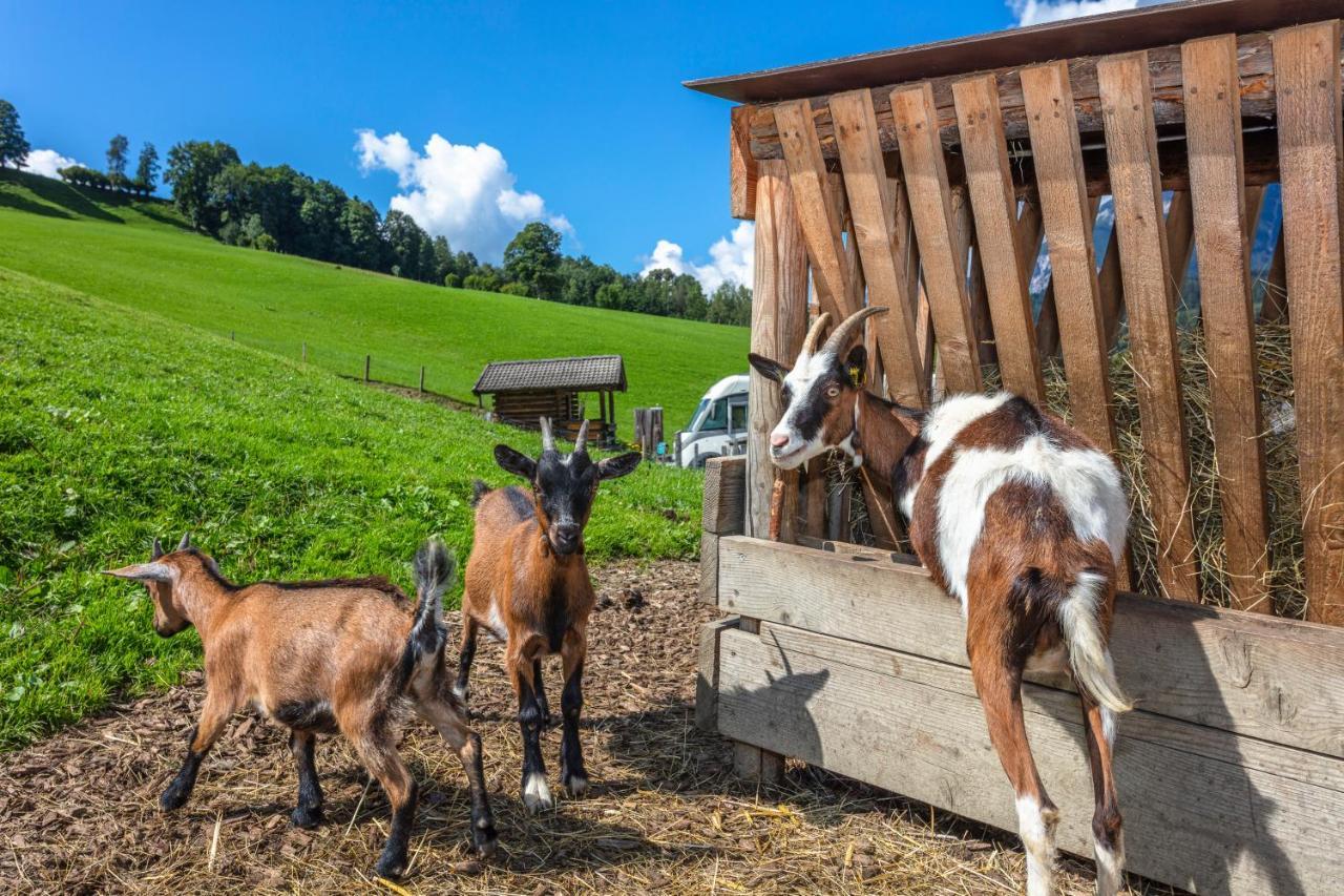 Biobauernhof Stegerbauer Apartment Maria Alm am Steinernen Meer Bagian luar foto