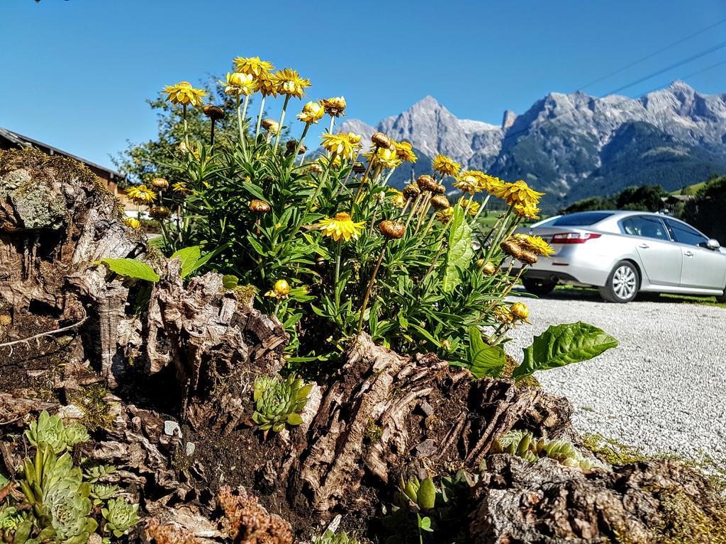 Biobauernhof Stegerbauer Apartment Maria Alm am Steinernen Meer Bagian luar foto