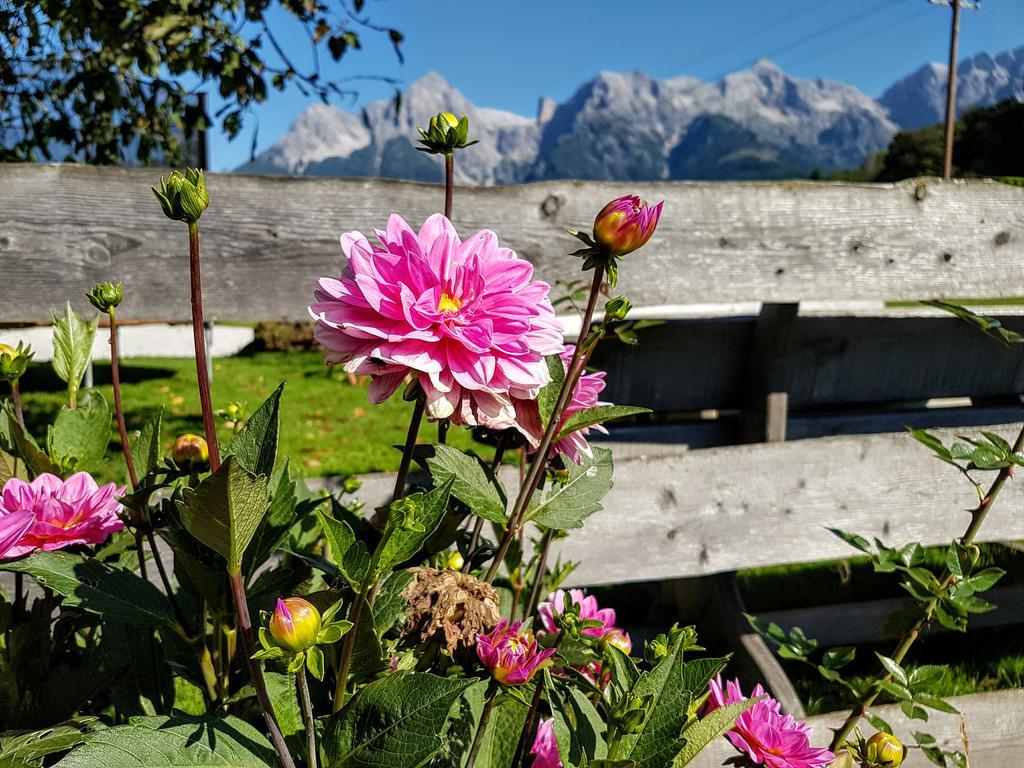 Biobauernhof Stegerbauer Apartment Maria Alm am Steinernen Meer Bagian luar foto