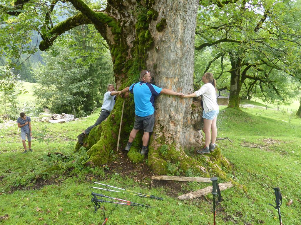 Biobauernhof Stegerbauer Apartment Maria Alm am Steinernen Meer Bagian luar foto