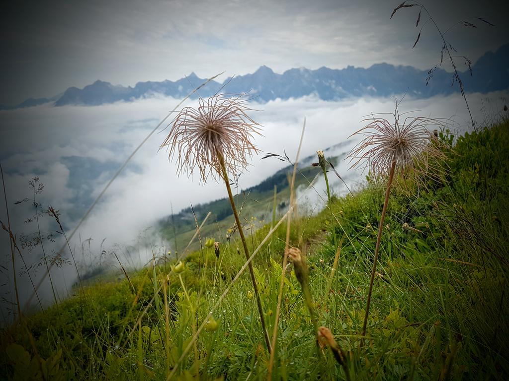 Biobauernhof Stegerbauer Apartment Maria Alm am Steinernen Meer Bagian luar foto