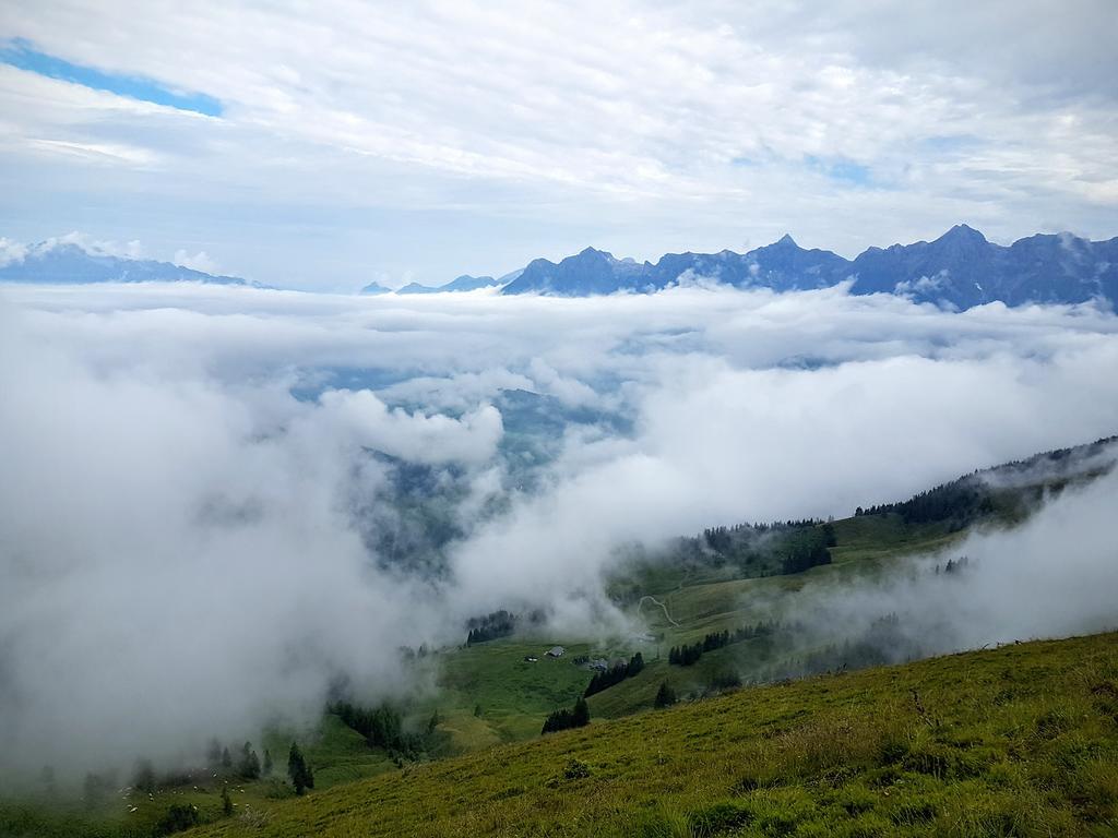 Biobauernhof Stegerbauer Apartment Maria Alm am Steinernen Meer Bagian luar foto