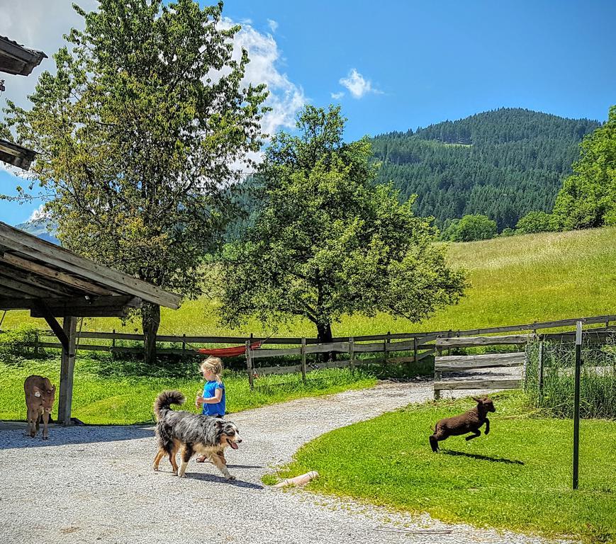 Biobauernhof Stegerbauer Apartment Maria Alm am Steinernen Meer Bagian luar foto